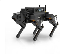 ROSPug -  Quadruped Robot Dog
